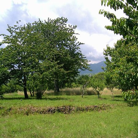 Cirasellaetna Villa SantʼAlfio Eksteriør billede