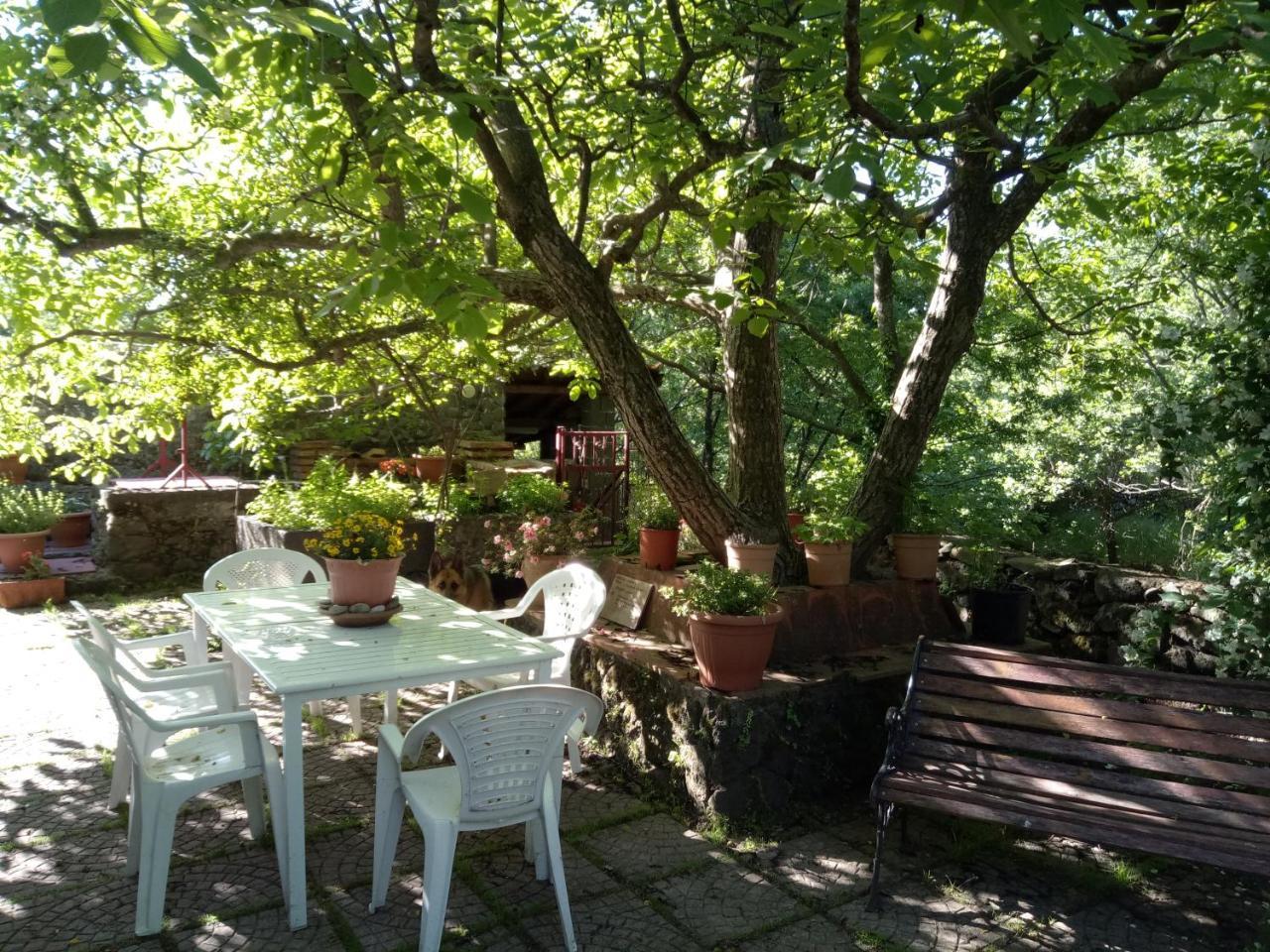 Cirasellaetna Villa SantʼAlfio Eksteriør billede