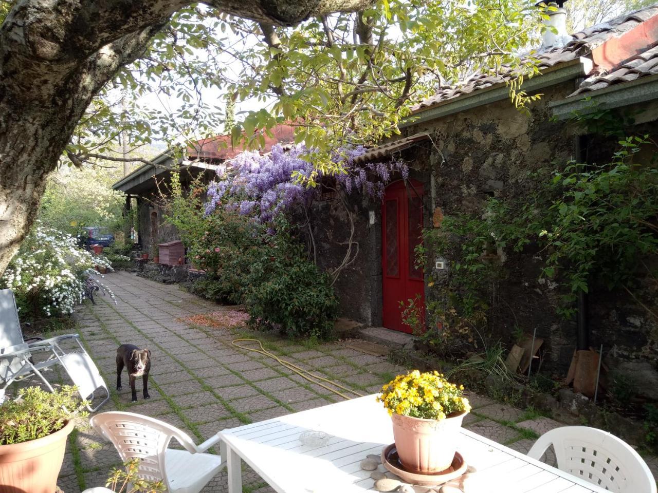 Cirasellaetna Villa SantʼAlfio Eksteriør billede